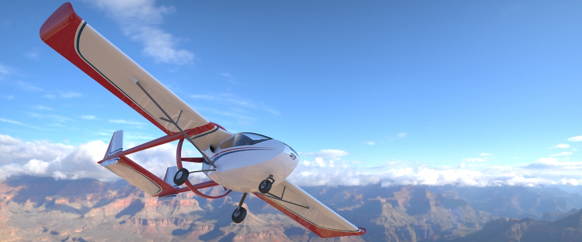 Sterna VLA in flight