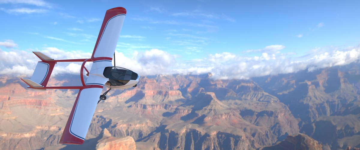 Sterna VLA in flight